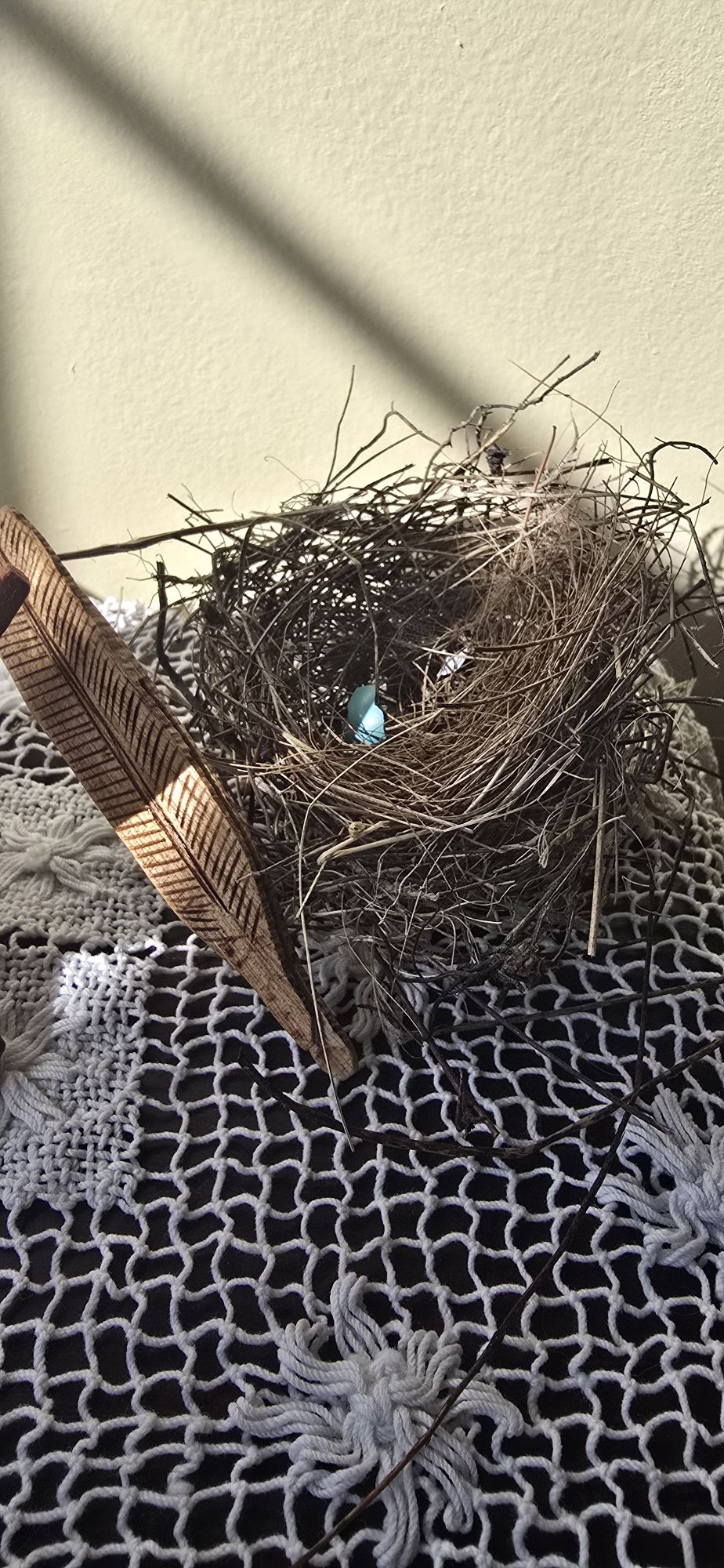 Broken Shells and New&nbsp;Nests