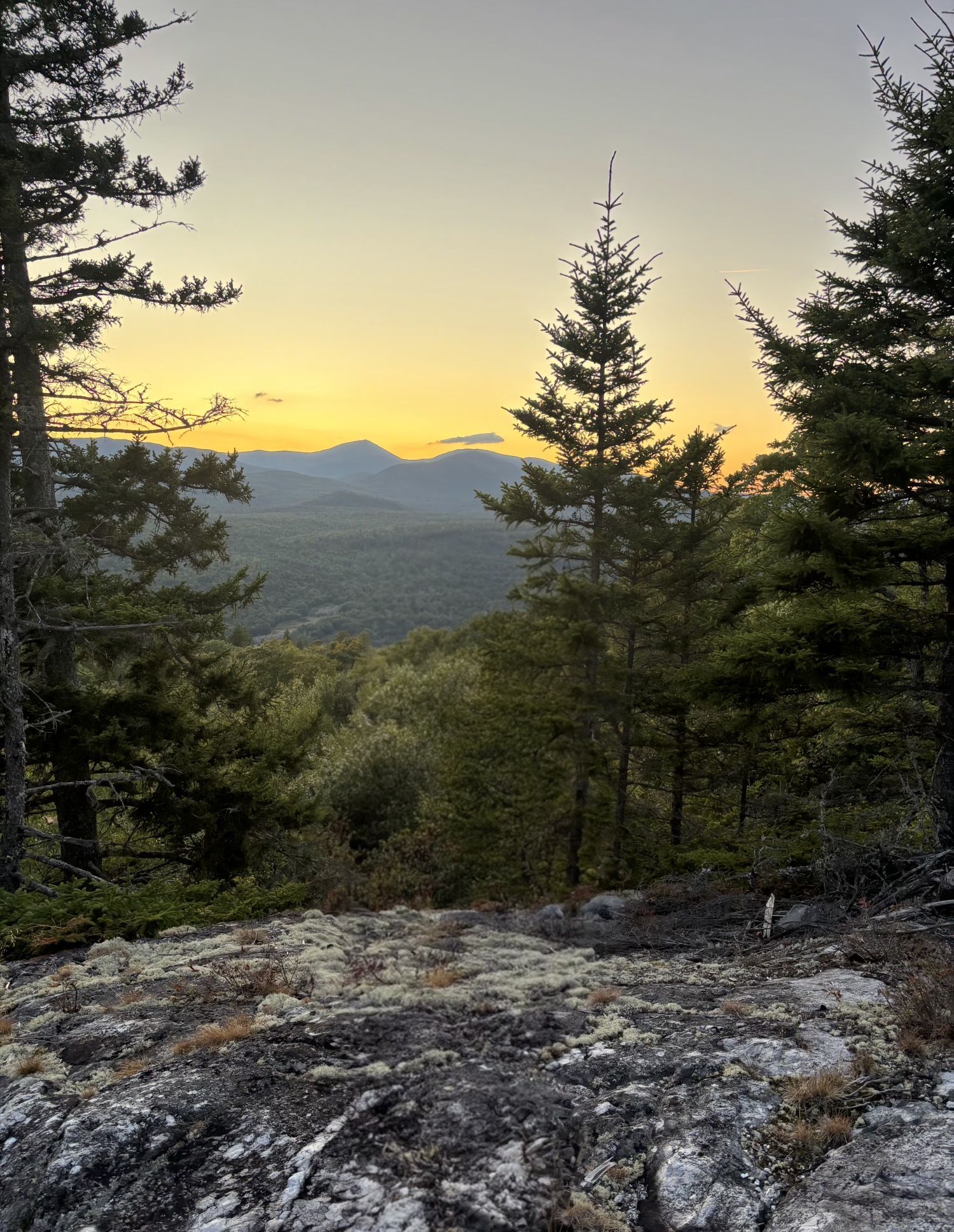From the Trees to the Seas: Following the Flow of&nbsp;Seasons